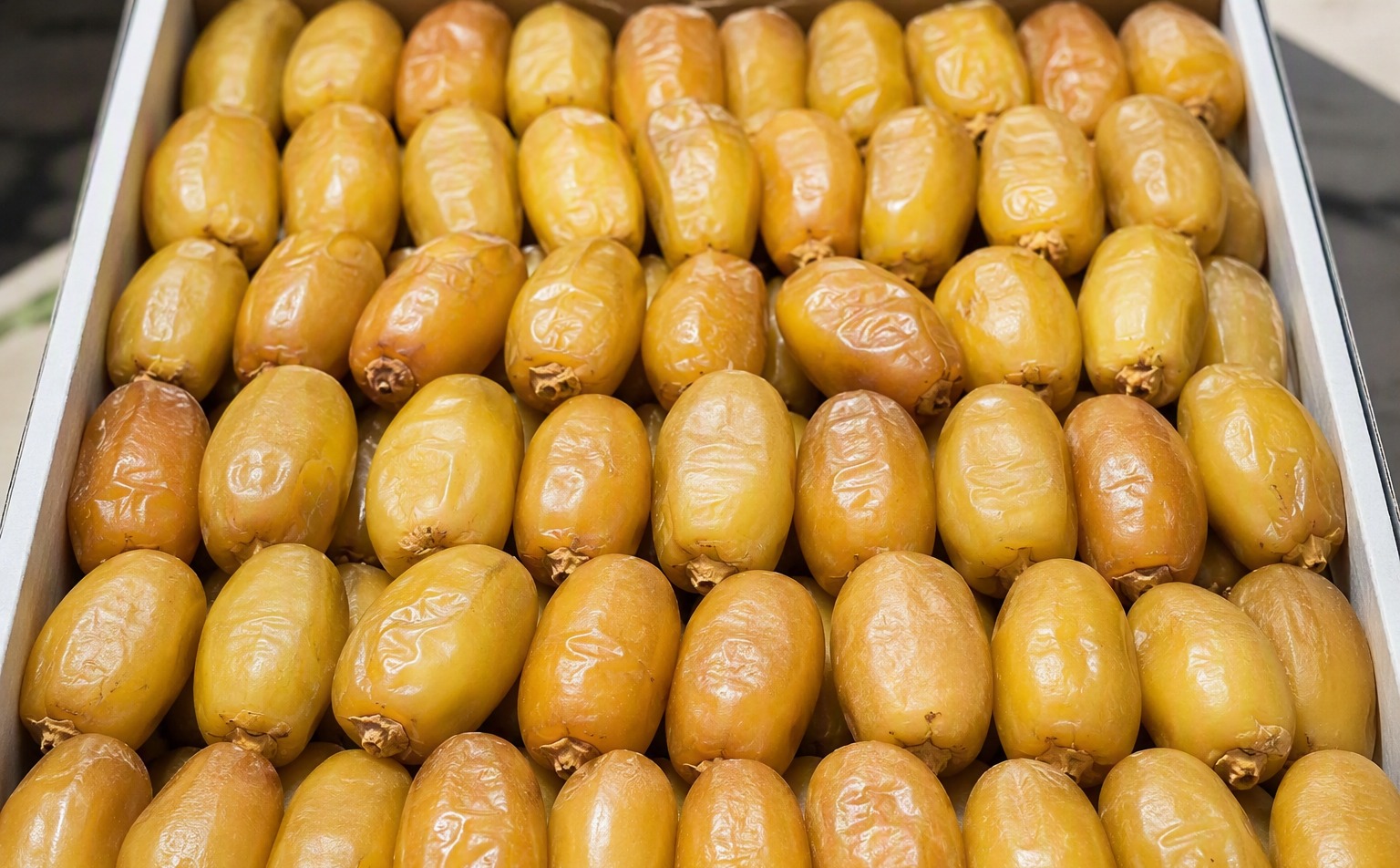 Dattes Aziza première qualité